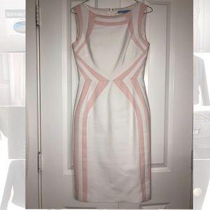 Antonio Melani Sheath Dress In Size 2